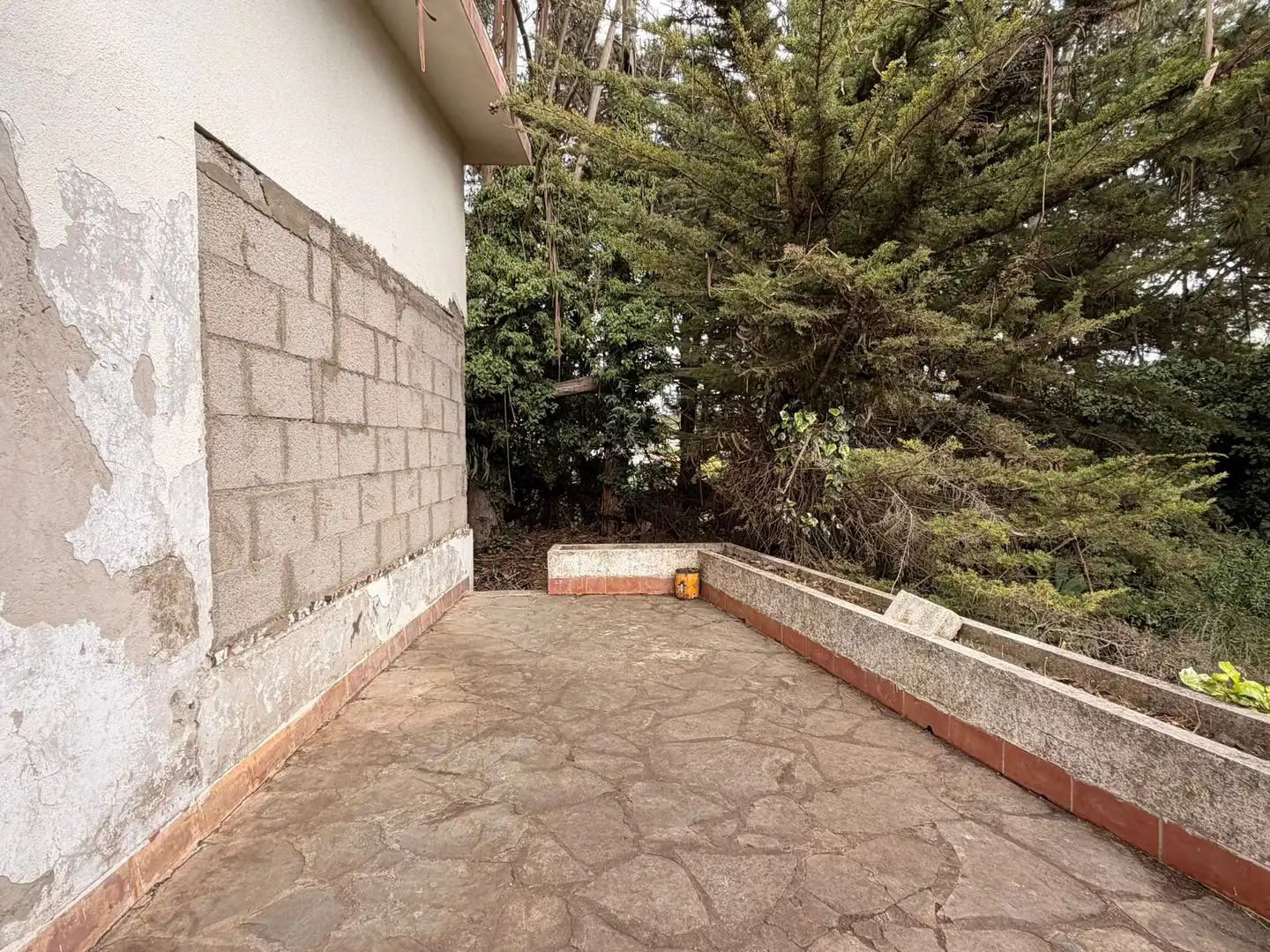 Terraza de Casa o chalet en venta en El Rosario