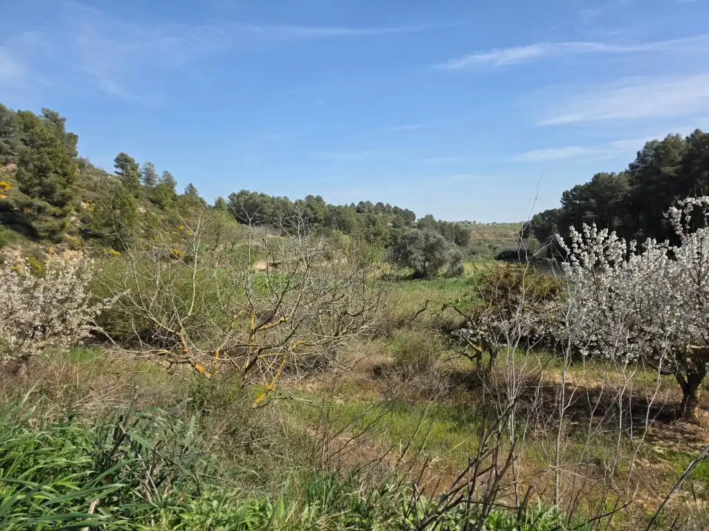 Terreno rustico in vendita a Carrer Soledat 2, imagen 2