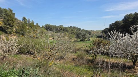 Finca amb aigua, immagine 2