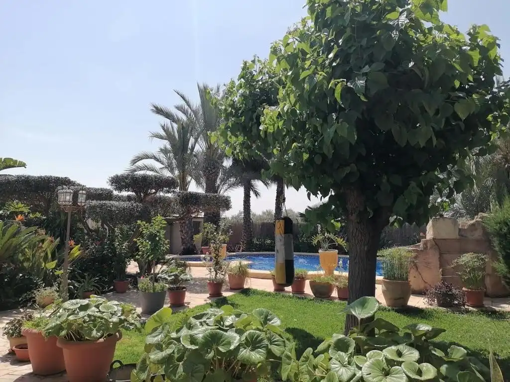 Villa avec piscine à vendre à Alzabares, imagen 6