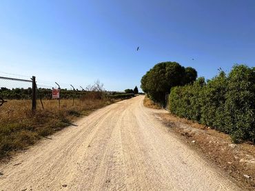 Terreno rustico in vendita a A-2075