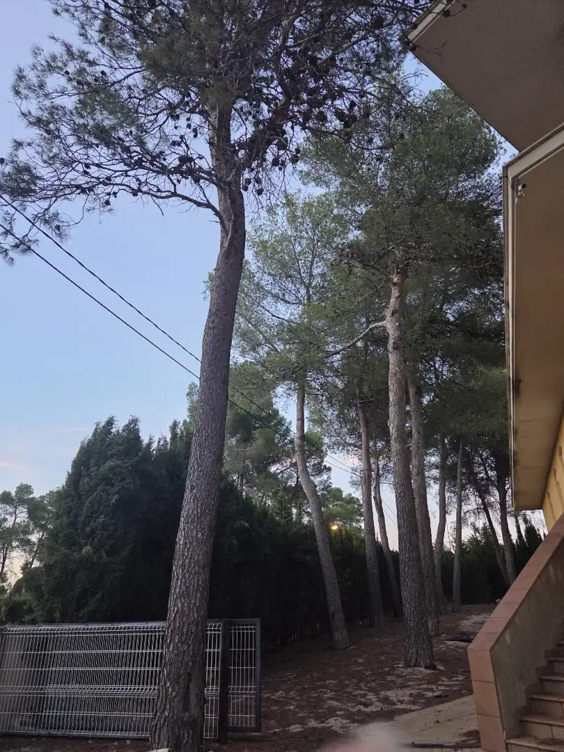 Villa avec terrasse à vendre à Avinguda de les Neveres, imagen 4