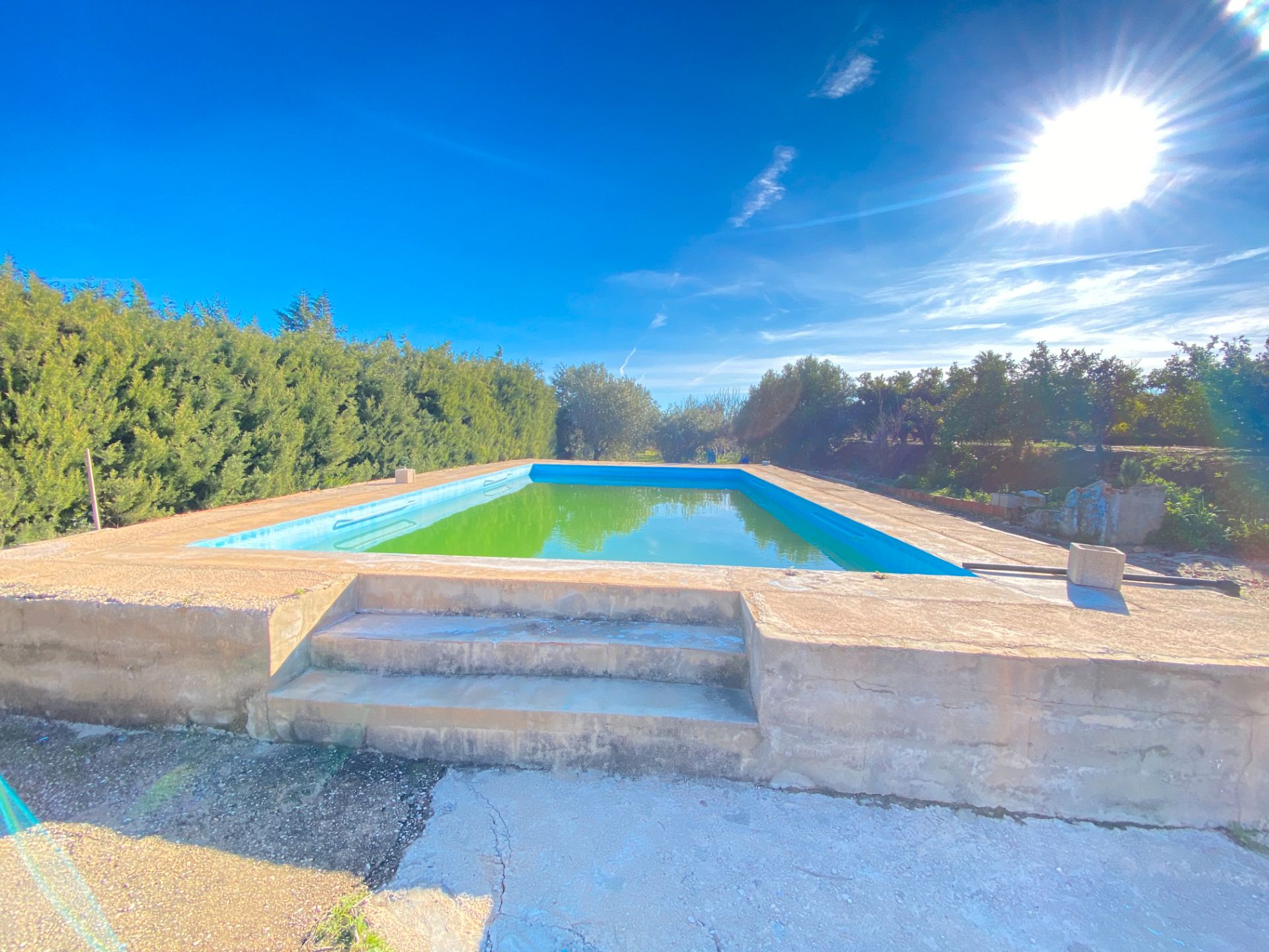 Piscina de Casa o xalet en venda en Carlet amb Jardí privat, Terrassa i Piscina