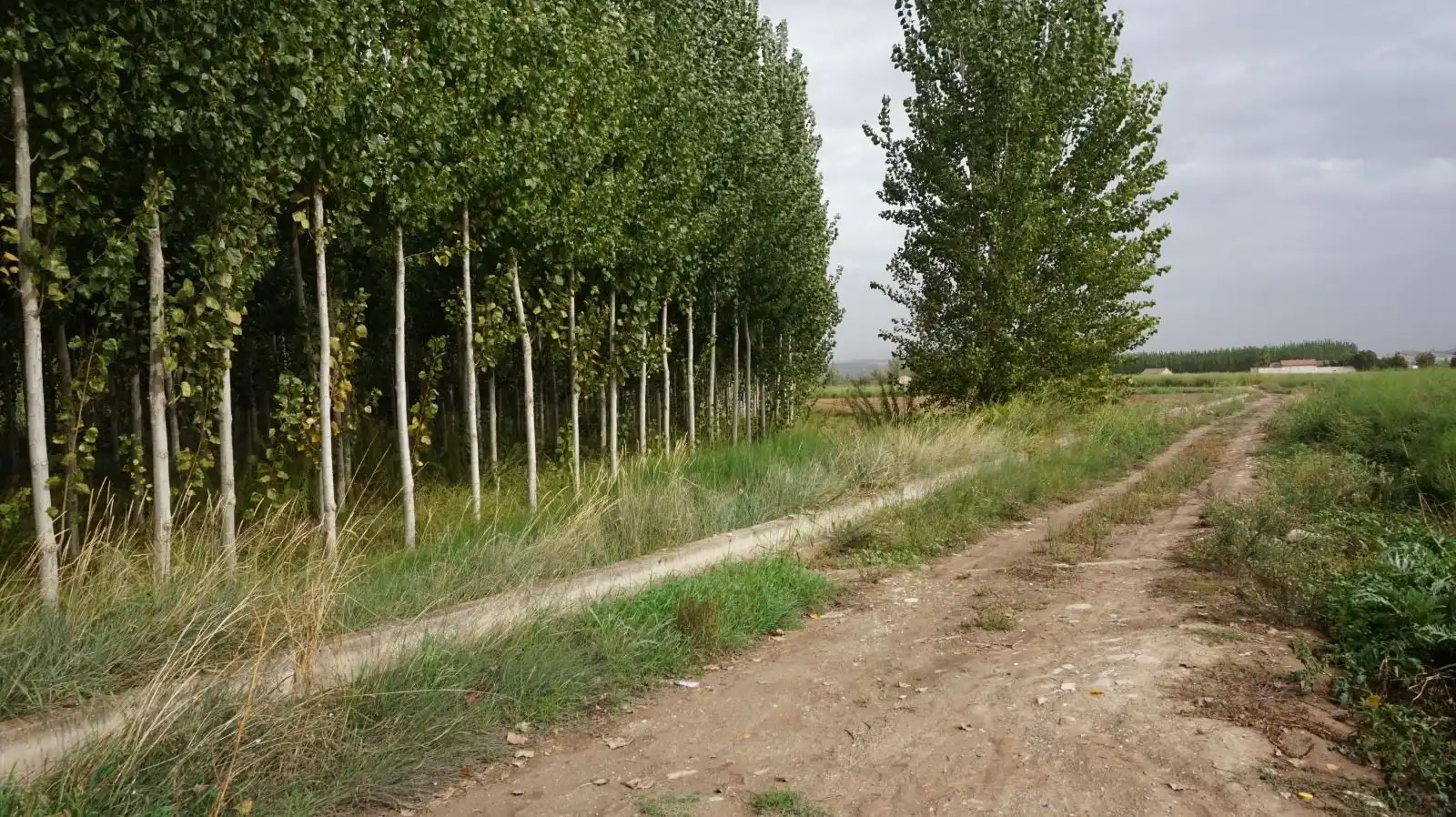 Rustikales Grundstück zum Verkauf in Pinos Puente, imagen 3