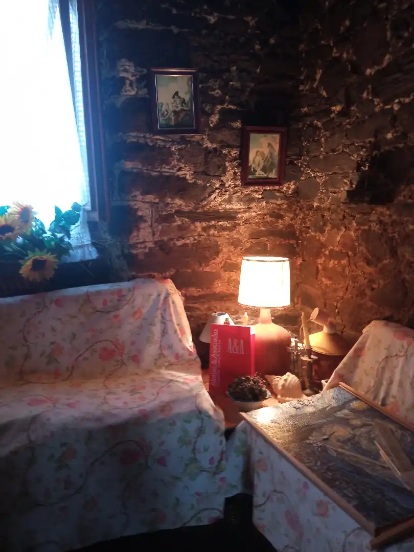 Sala de estar de Finca rústica en venta en Tineo con Jardín privado, Parquet y Terraza