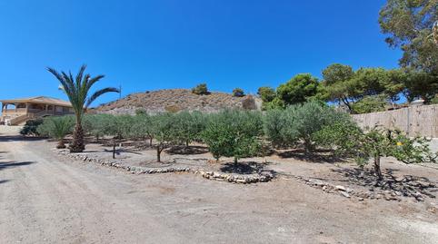 Foto 4 de Finca rústica en venda a Las Majadas - Las Molinetas - Labradorcico, Murcia