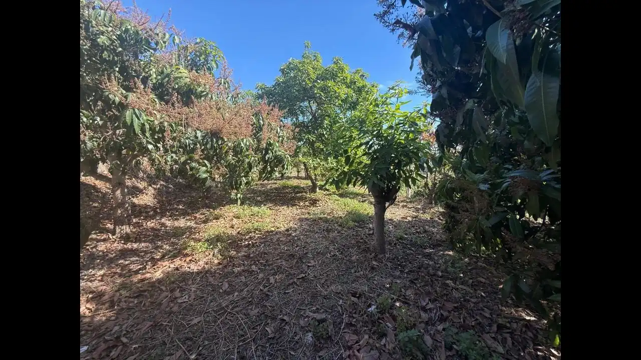 Grundstücke und Bauplätze zum Verkauf in Rambla Caballero, imagen 8