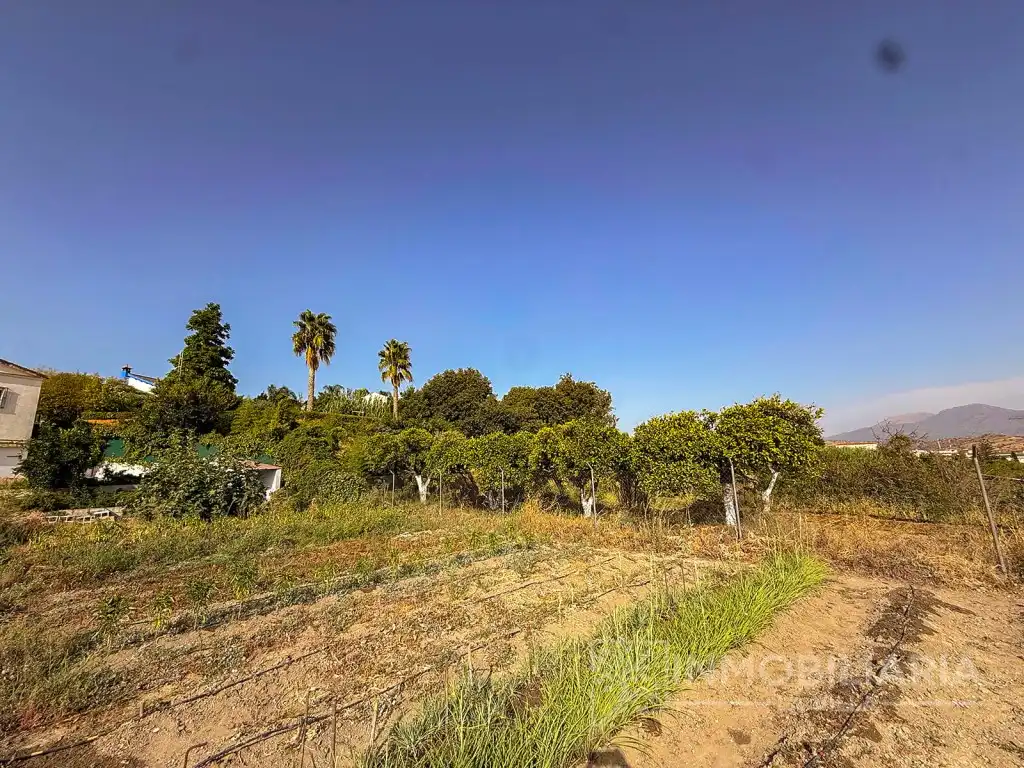 Maison rustique à vendre à Partida Huertas Viejas, imagen 22