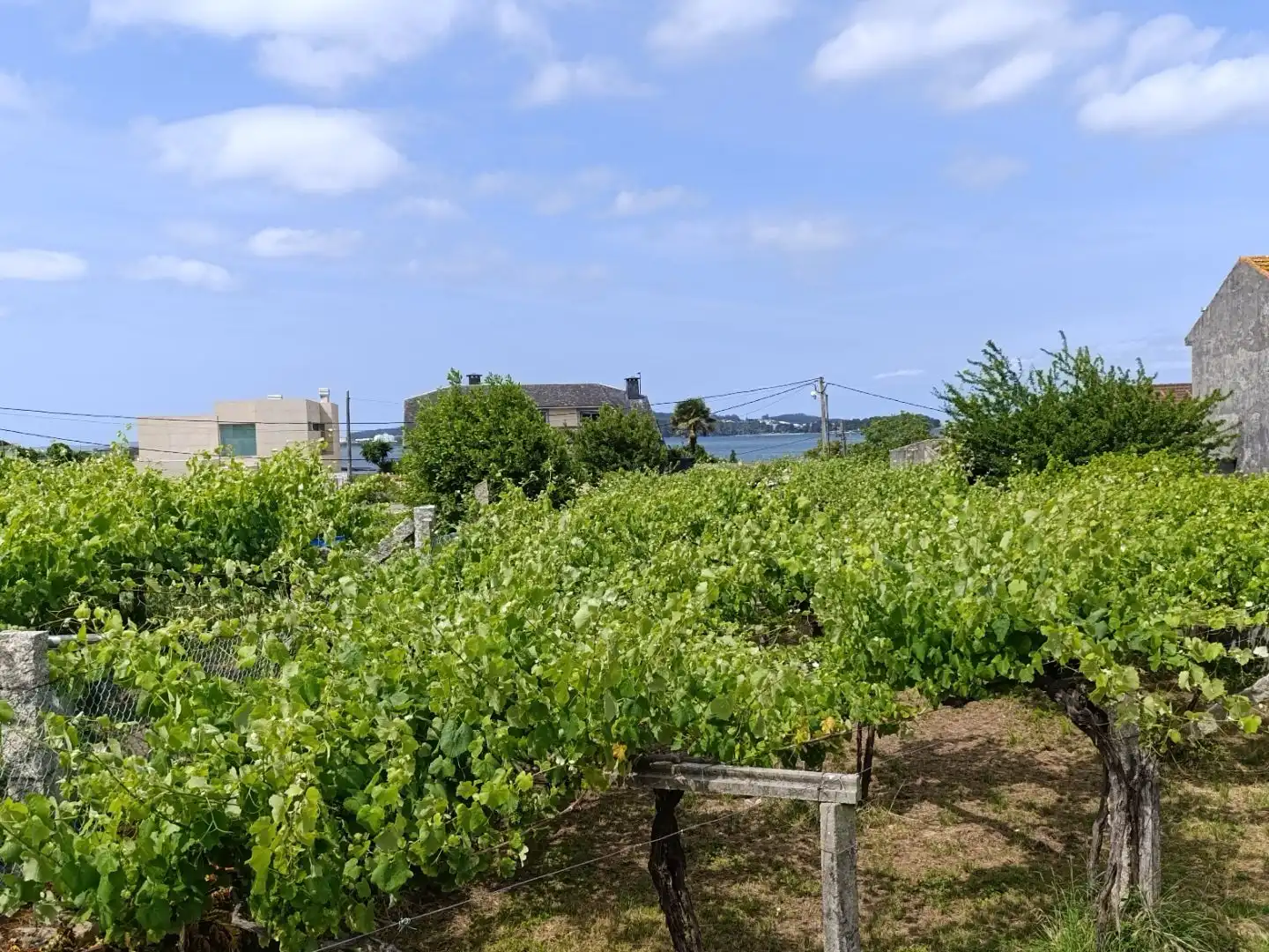 Terreno residencial en venta en Rúa Ribeira de Mouta 5, imagen 10