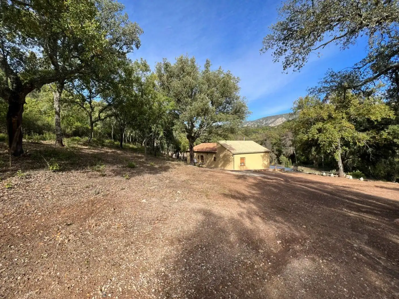 Vista exterior de Casa o xalet en venda en Fuencaliente amb Jardí privat, Terrassa i Traster