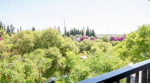 Foto 5 de Piso en venta en Carrer D'enric Granados, Son Oliva, Palma de Mallorca