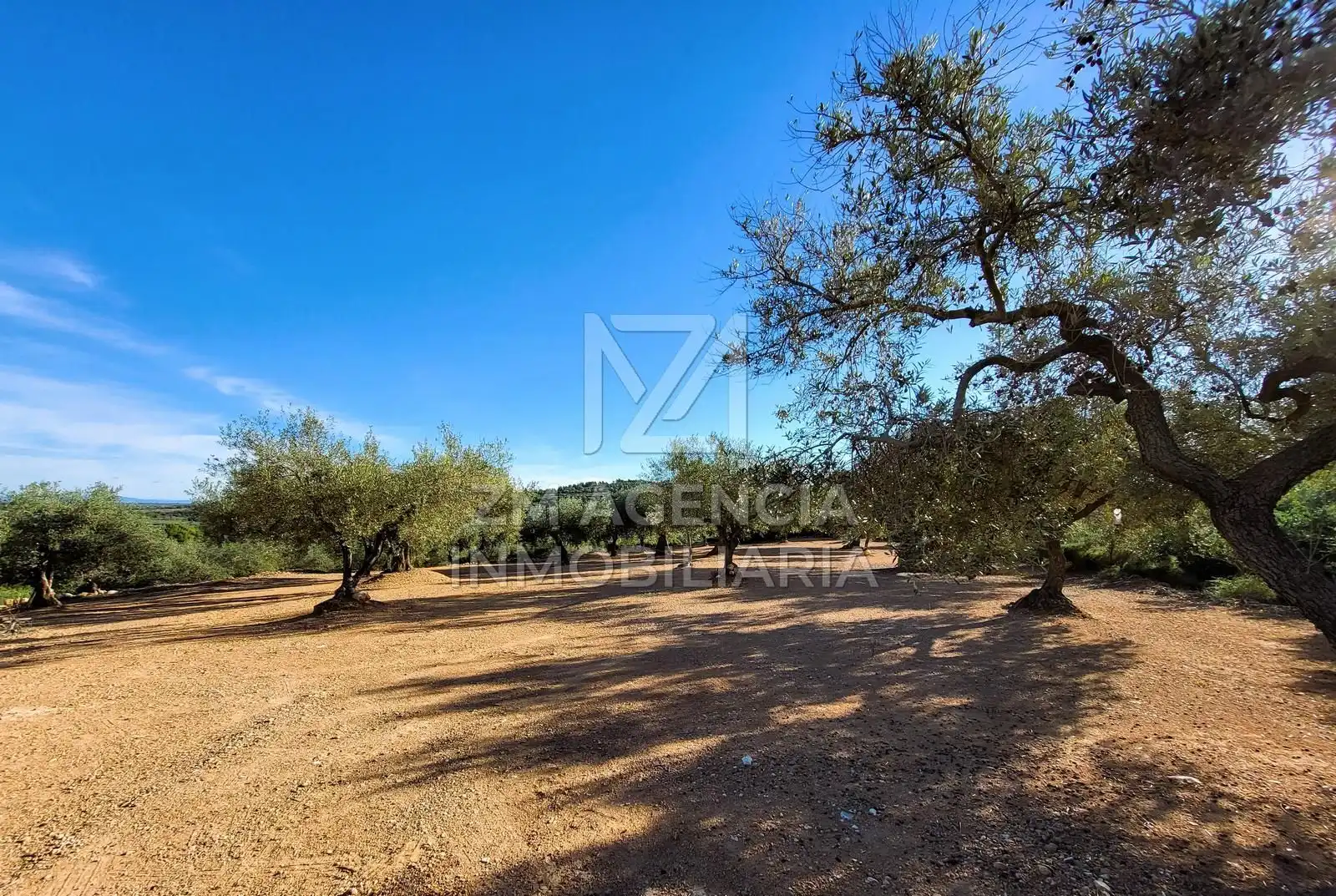 Casa rústica en venta en Traiguera, imagen 2