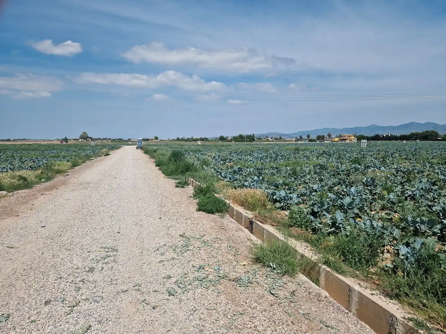 Terreny residencial en venda a Pedanías Centro