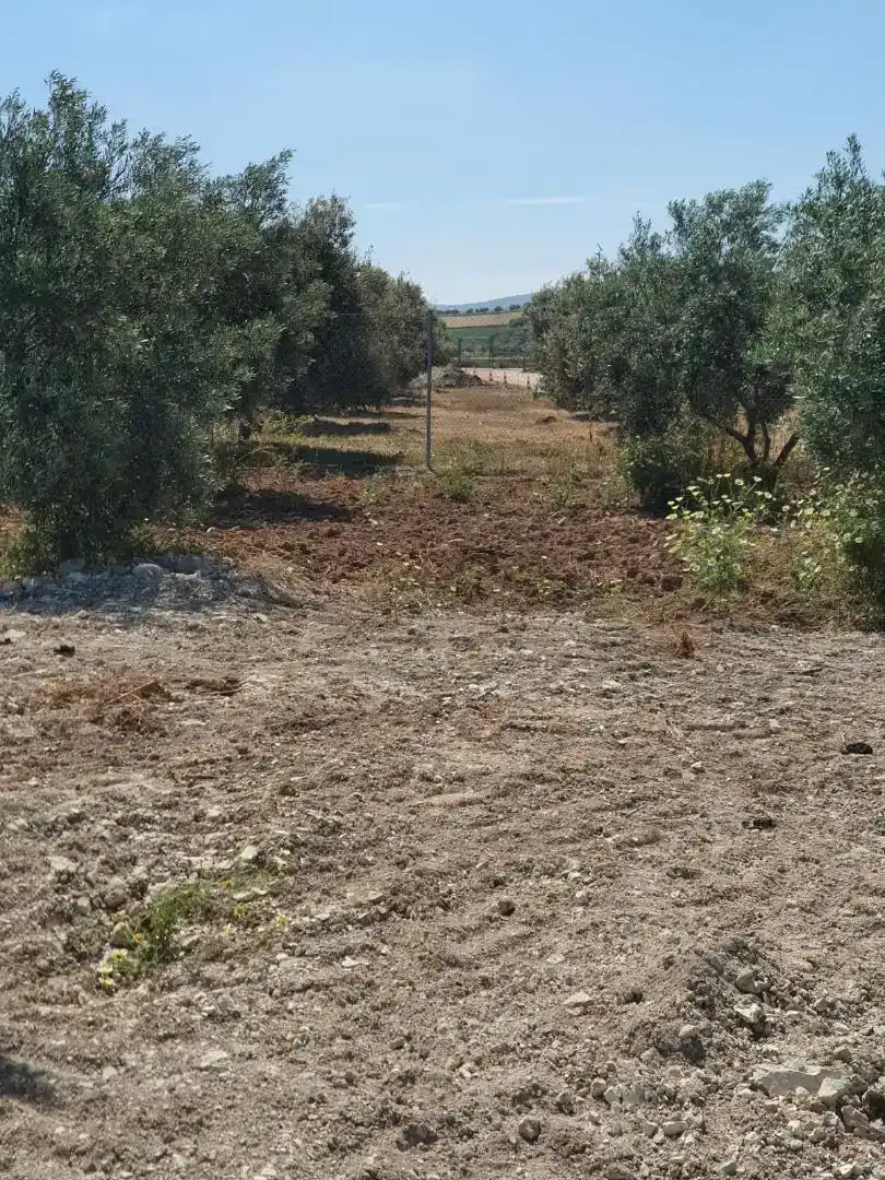 Terreno en venta en Osuna