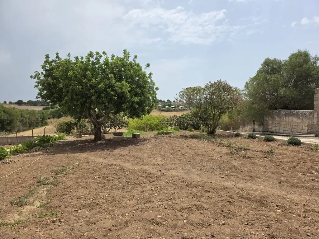 Casa rústica en alquiler en Manacor Centre, imagen 17