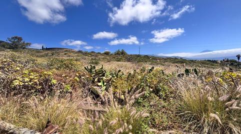 Foto 5 de Residencial en venda a El Pris - Juan Fernández, Tacoronte