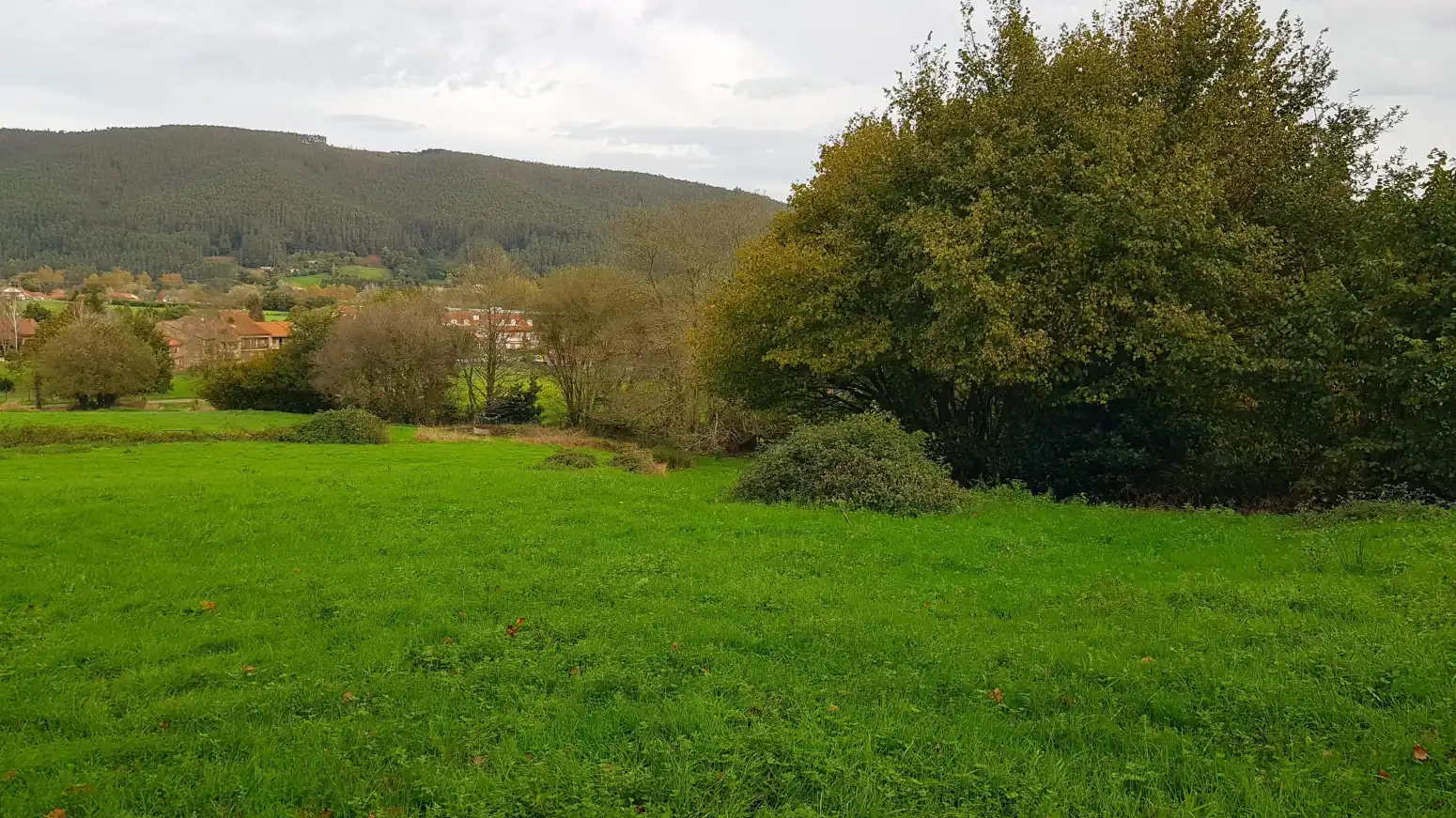 Terreni e lotti in vendita a Castañeda - Marimata, imagen 6
