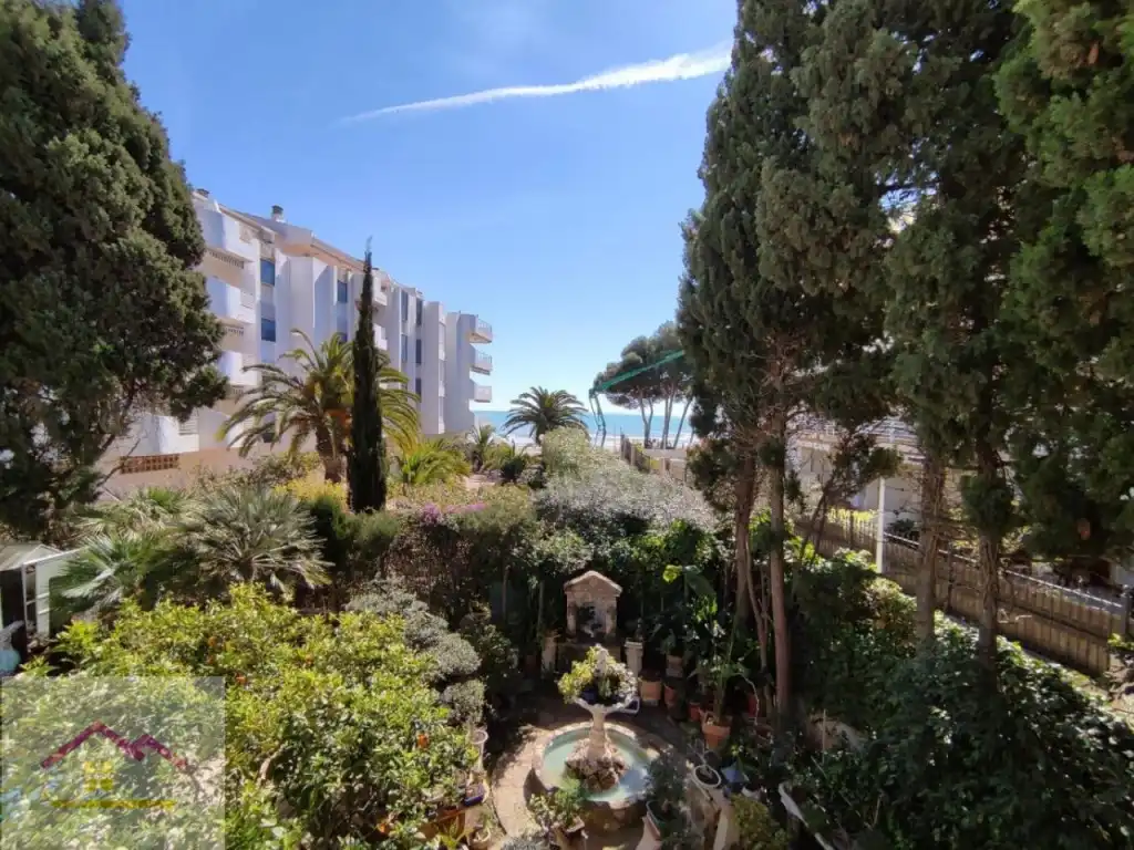 Garden of Study for rent in Alcalà de Xivert  with Air Conditioner, Furnished and Washing machine