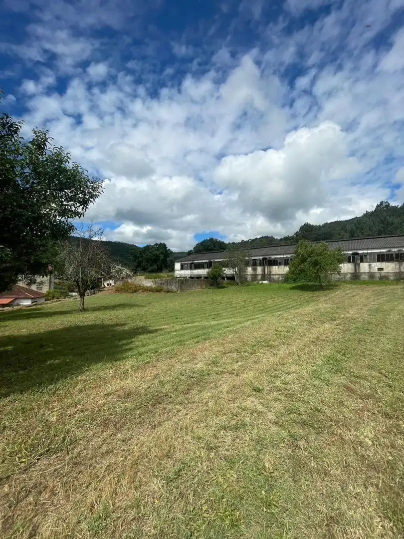 Exterior view of Land for sale in Ribadavia