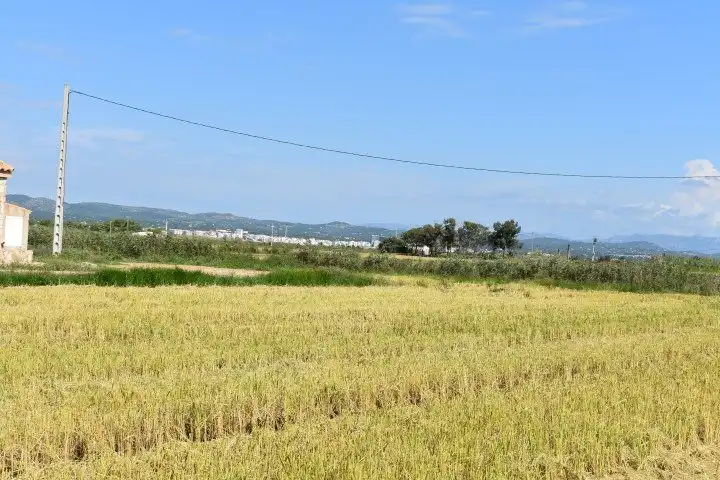 Finca rústica en venta en L'Ampolla