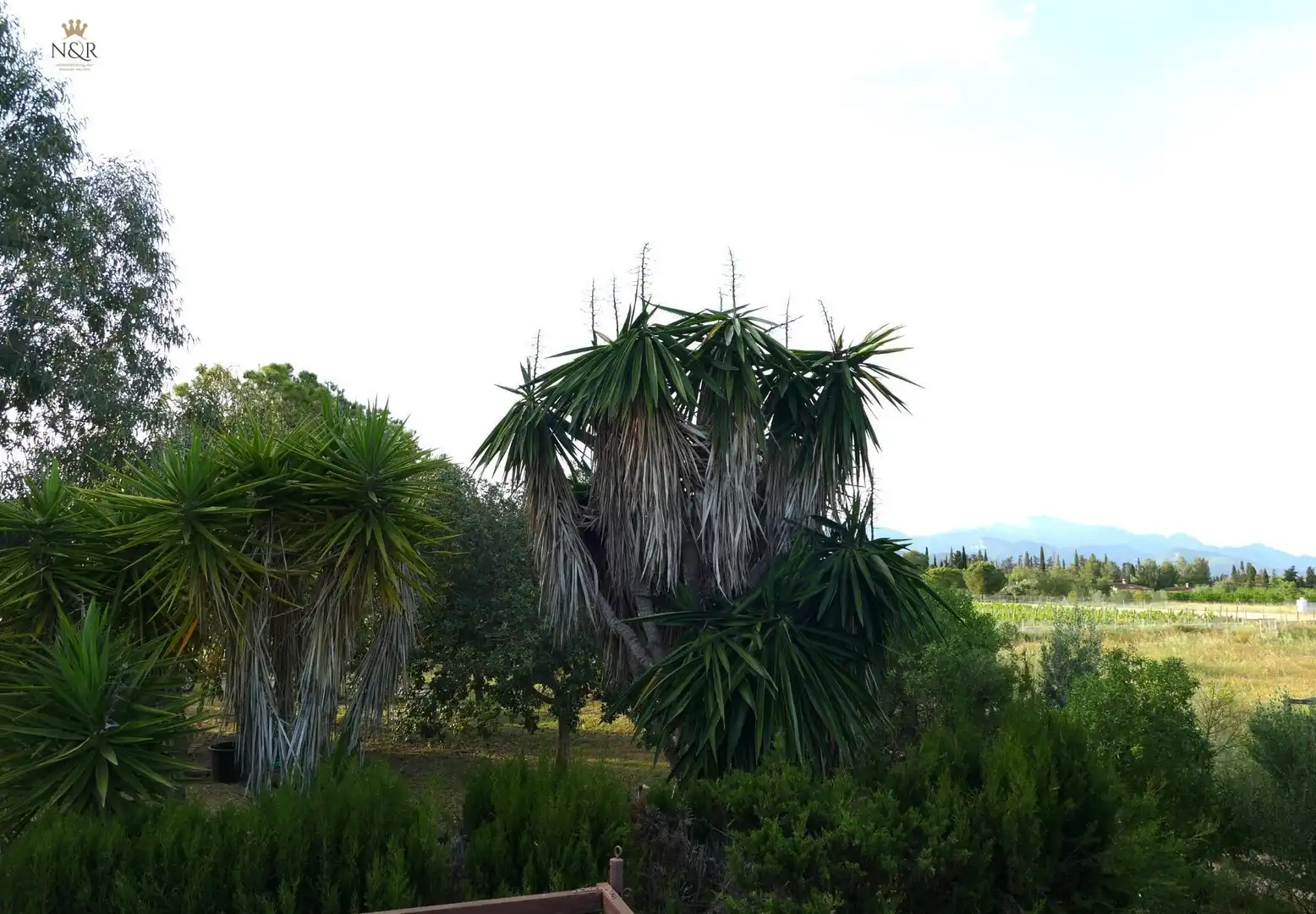 Jardín de Finca rústica en venta en Santa Eugènia con Jardín privado y Trastero