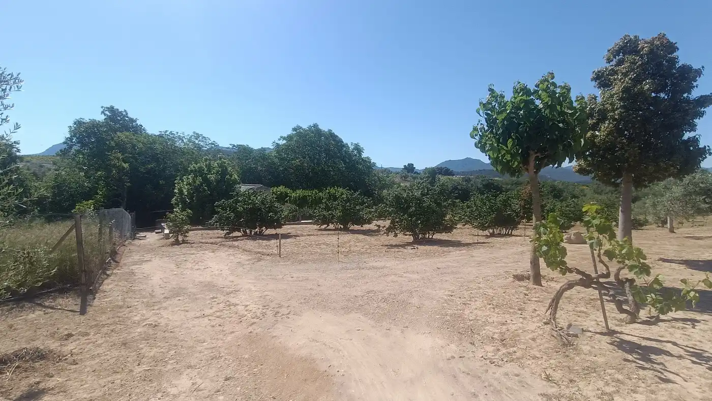 Nau industrial en venda en Marçà