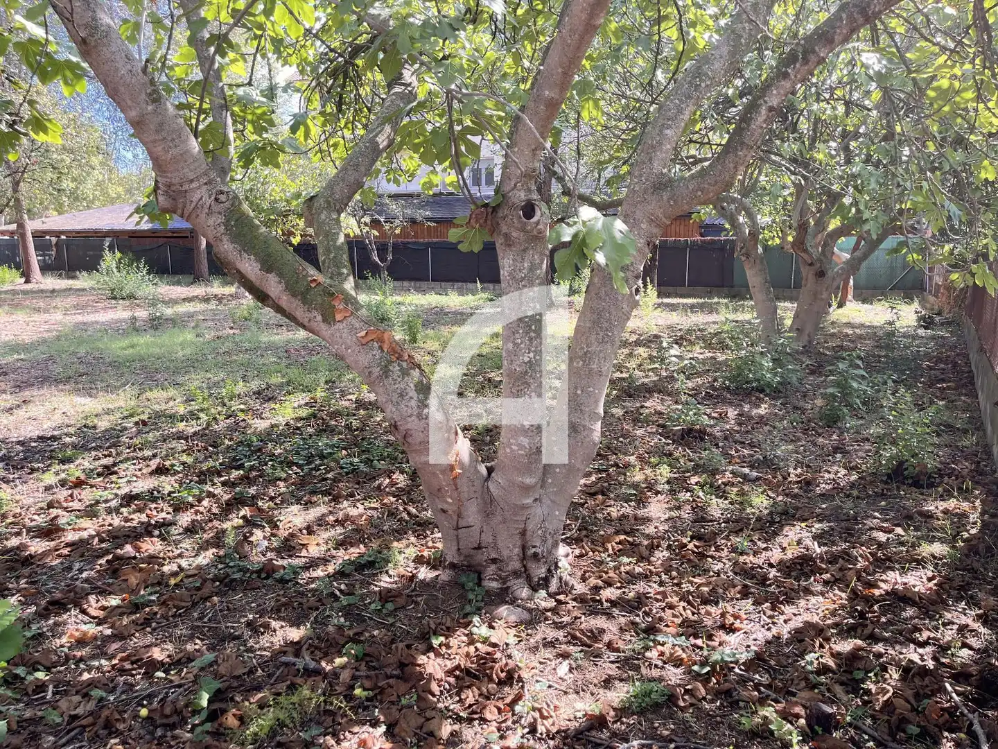 Rural land for sale in can sauleda, imagen 9