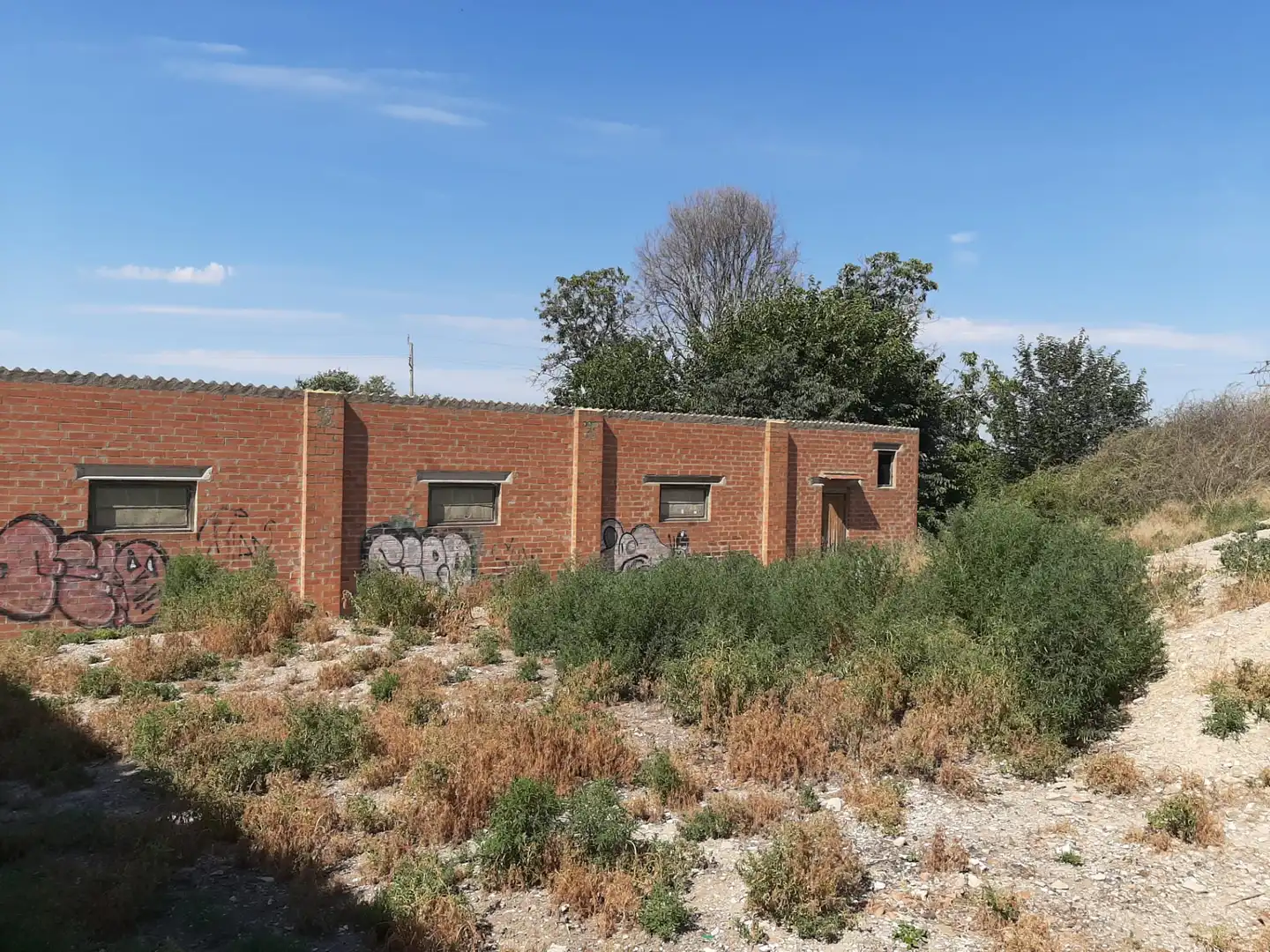 Vista exterior de Casa o xalet en venda en Ivars d'Urgell amb Jardí privat, Terrassa i Traster