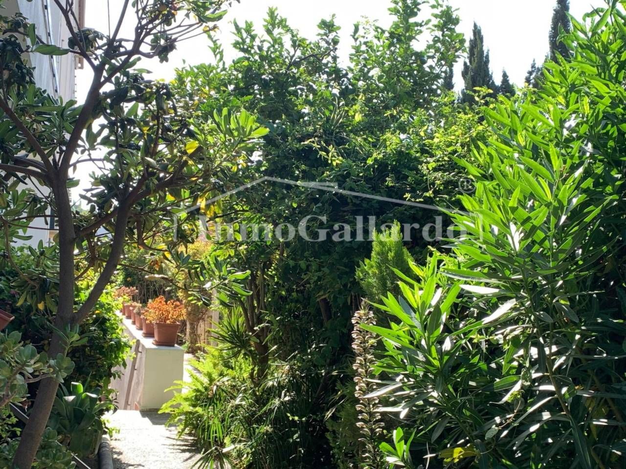 Flat to rent in Pedregalejo - Morlaco