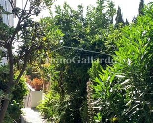 Garden of Flat to rent in Málaga Capital  with Terrace