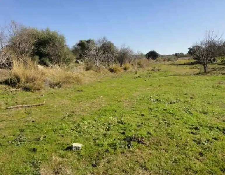 Grundstücke zum Verkauf in Esparragosa de la Serena