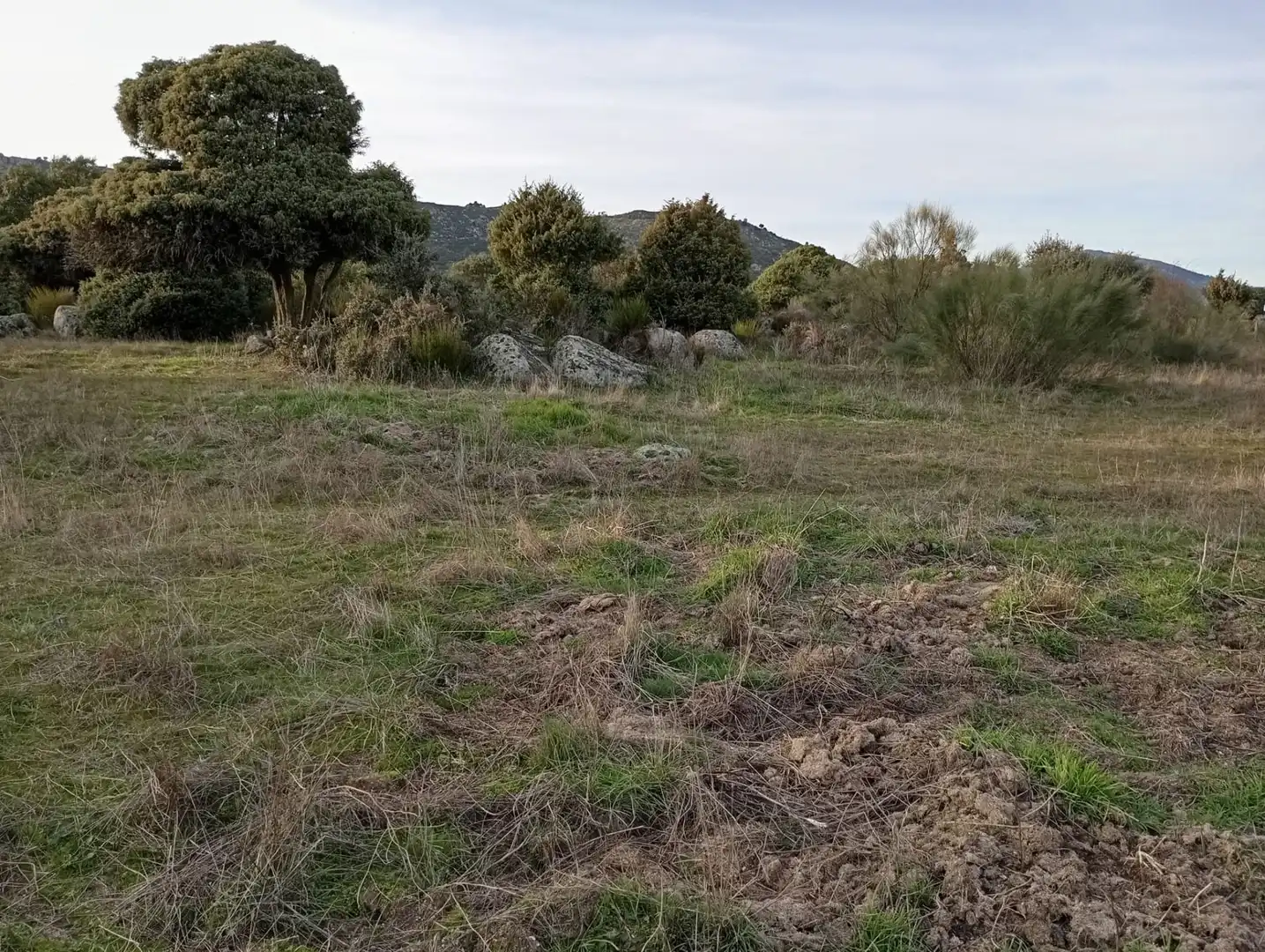 Terreno rustico in vendita a Fresnedillas de la Oliva, imagen 12