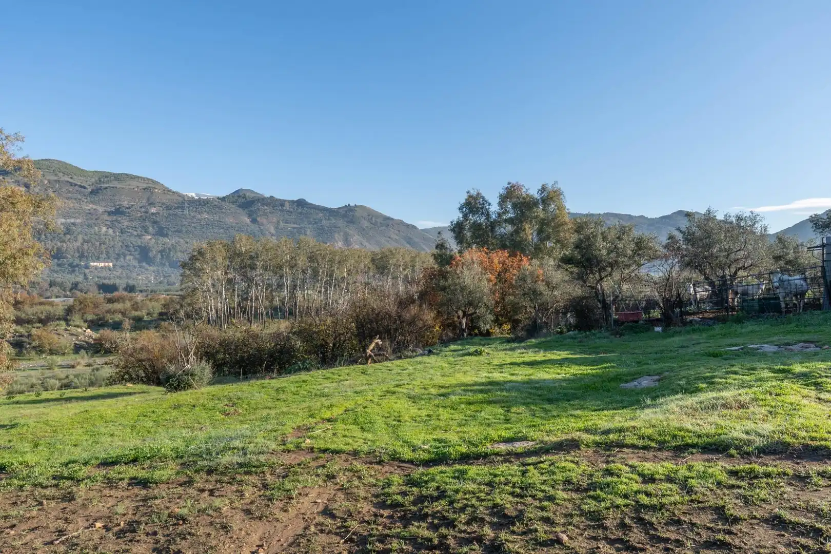 Rural land for sale in Órgiva, imagen 3