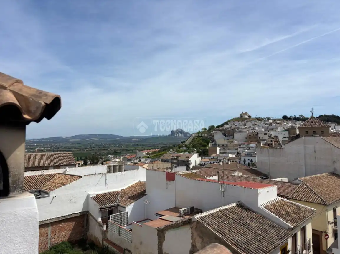 Vista exterior de Casa o chalet en venta en Antequera con Aire acondicionado, Terraza y Trastero