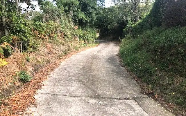 Terreno rustico in vendita a Camino DE LOS CIERROS-CALDONES, imagen 24