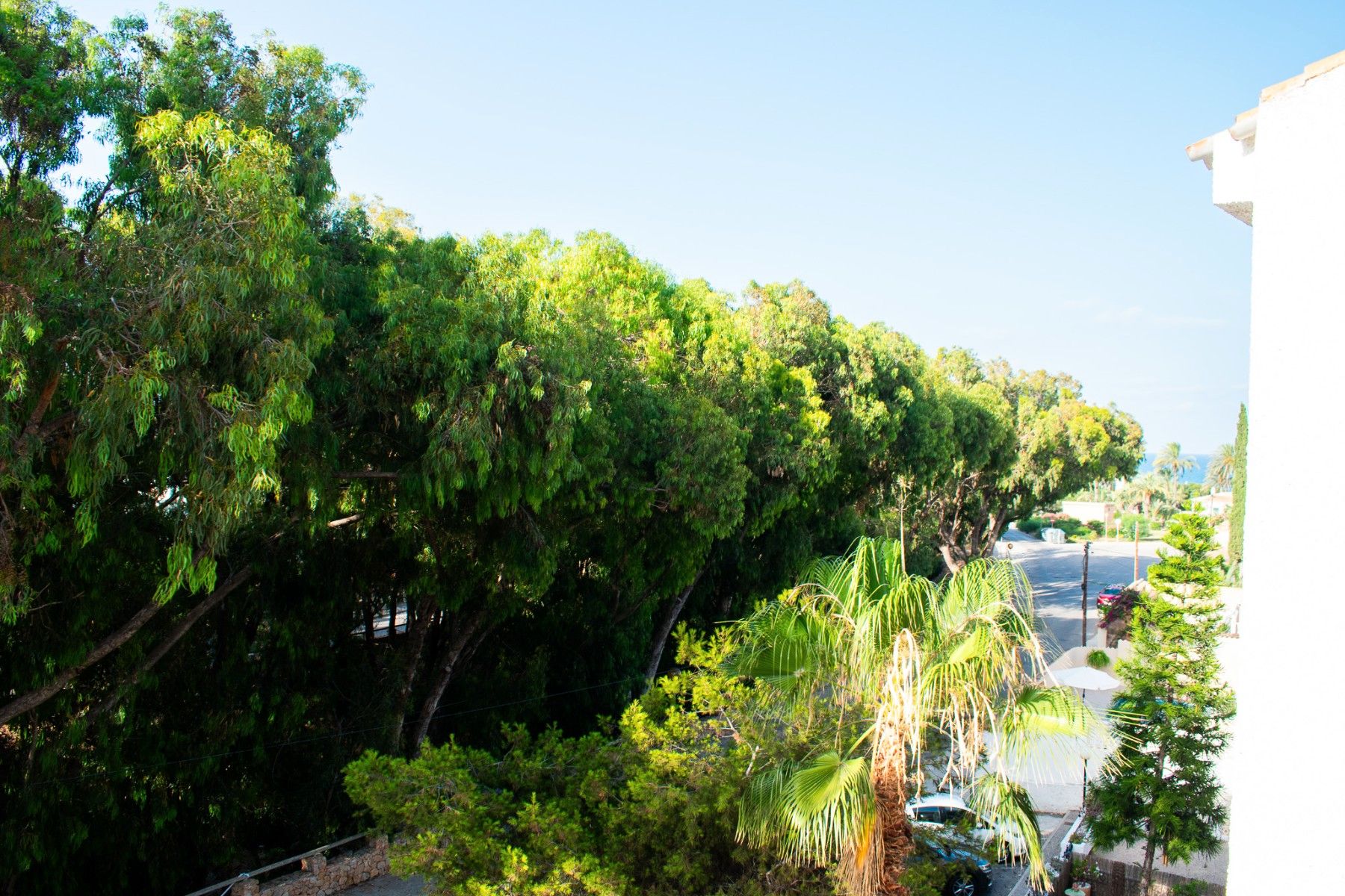 Vista exterior de Àtic en venda en Orihuela amb Terrassa, Traster i Piscina