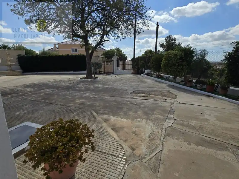 Vista exterior de Casa o xalet en venda en Elche / Elx amb Aire condicionat, Jardí privat i Terrassa