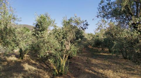 Foto 5 de Residencial en venta en Nigüelas, Granada