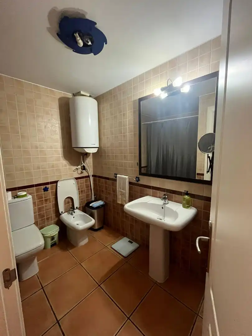 Flat with lift to rent in Carretera de Almería 232, imagen 4