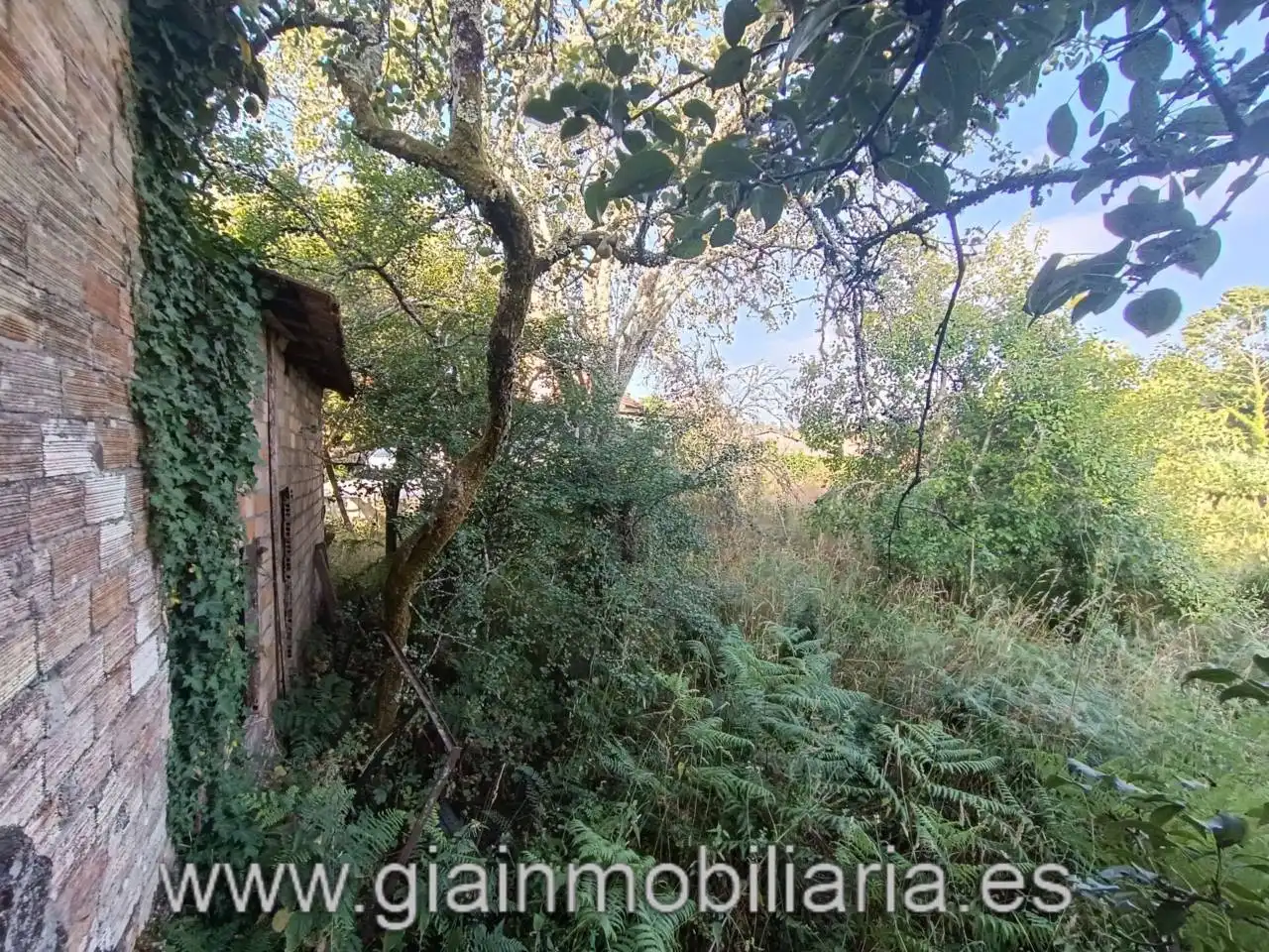 Casa en venta en Calle Ceo, imagen 17