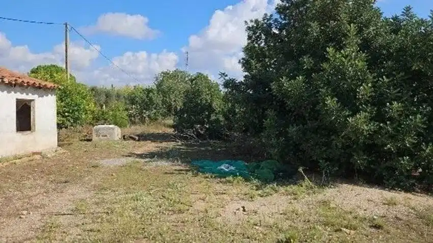 Country homes for sale in Valls