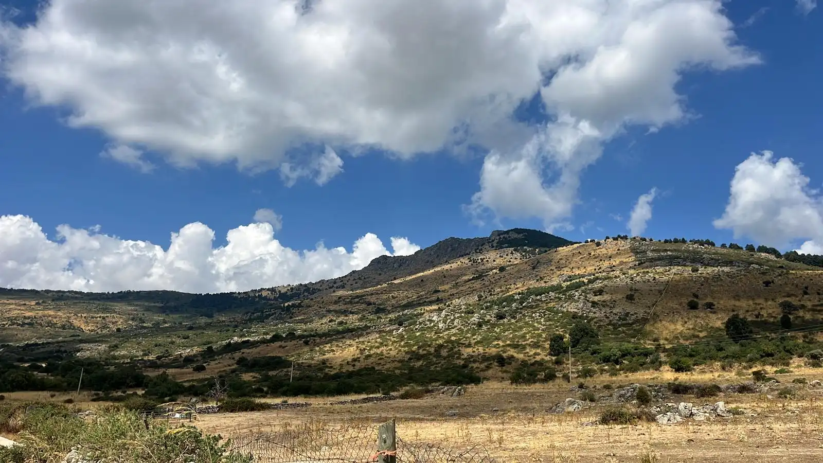 Terreno rustico in vendita a Los Molinos, imagen 3