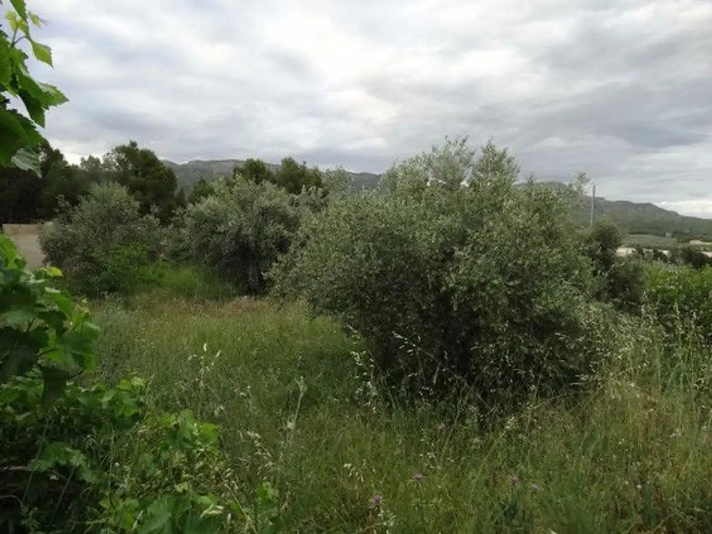 Xalet en venda a Moratalla, imagen 20