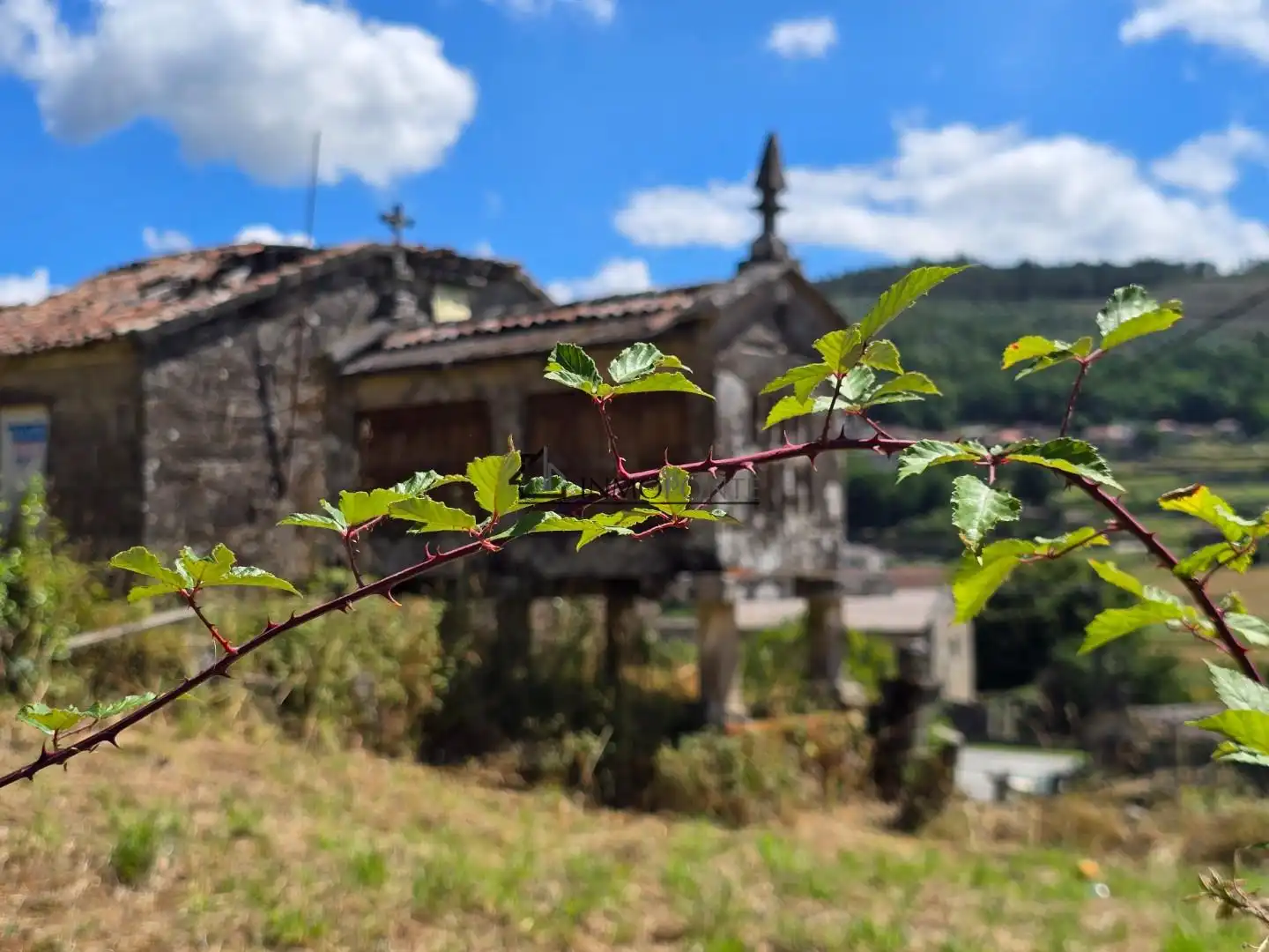 Vista exterior de Casa o xalet en venda en Cotobade amb Jardí privat