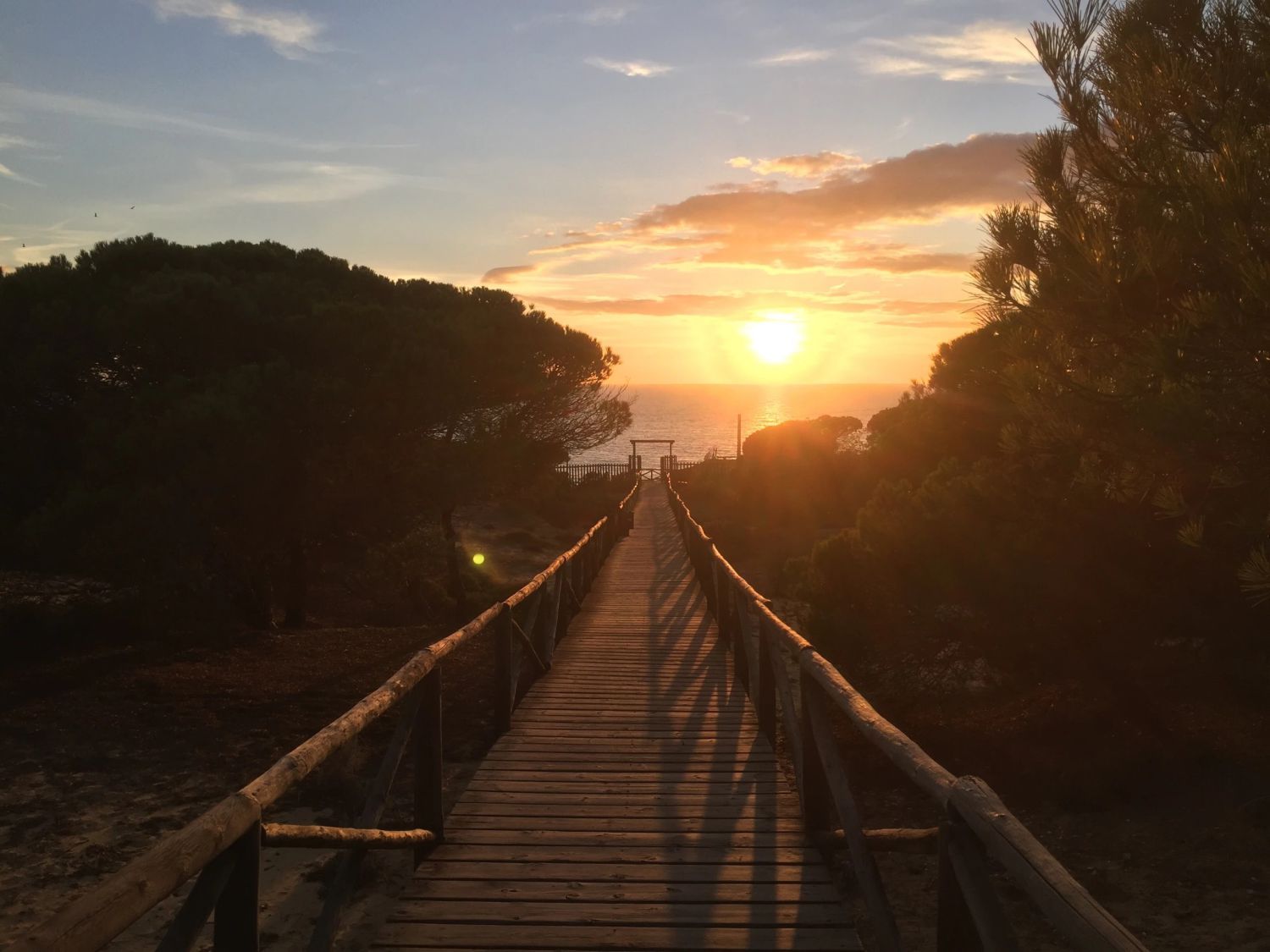 Exterior view of Flat for sale in Almonte  with Terrace and Furnished