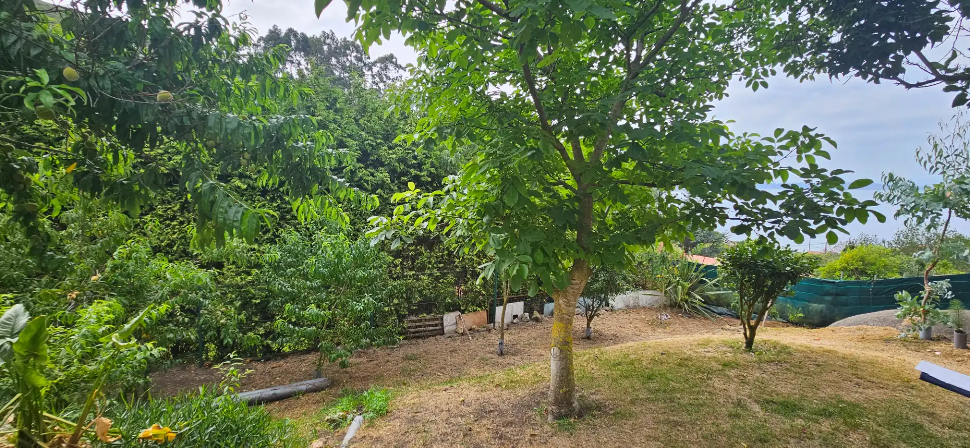 Maison à vendre à Área Rural, imagen 14