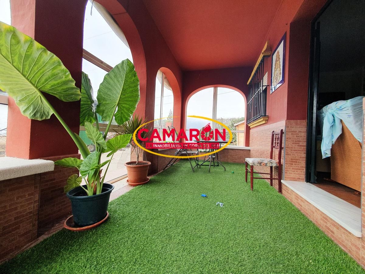 Garden of Country house for sale in La Puebla del Río  with Swimming Pool