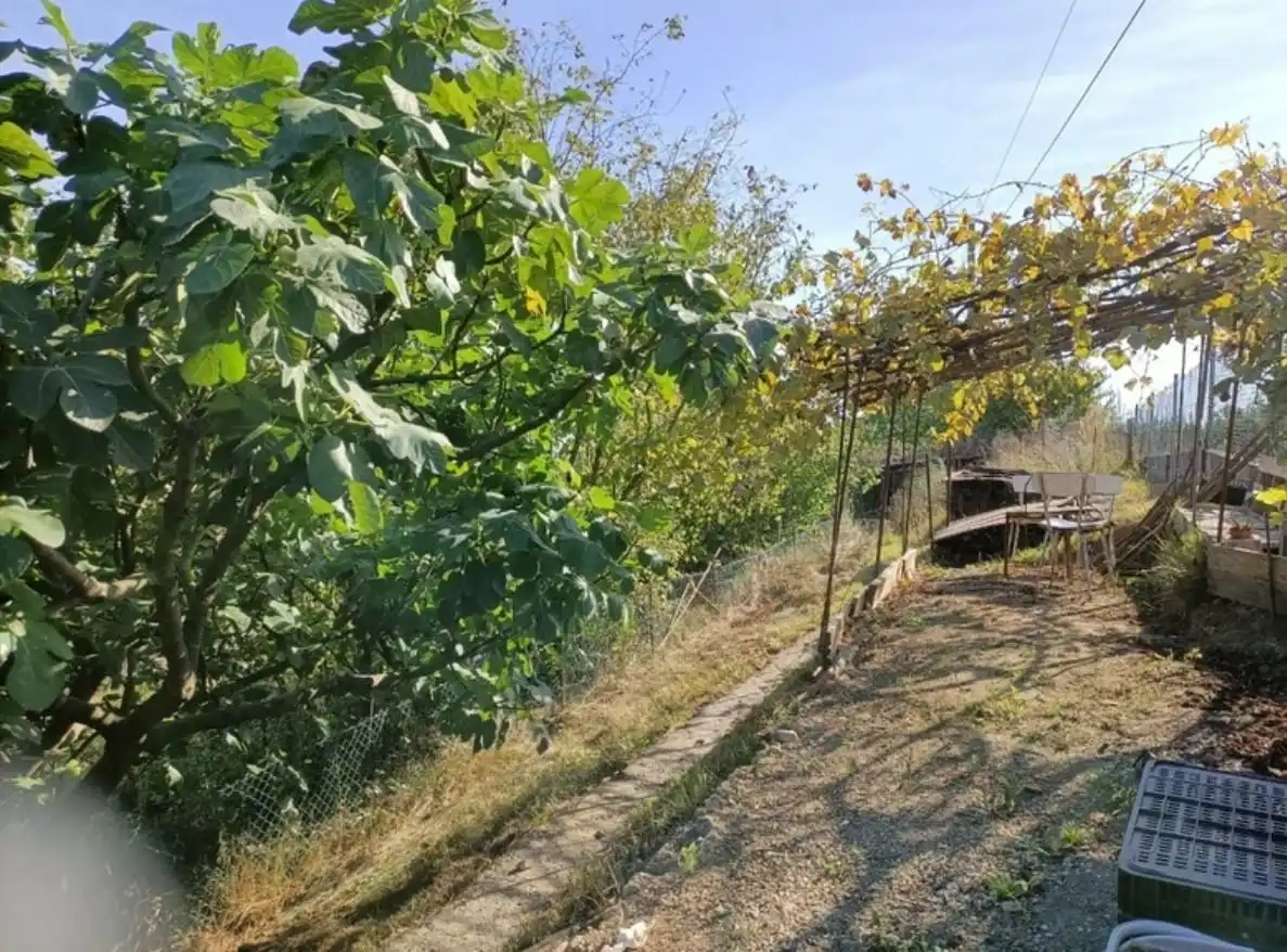 Grundstücke zum Verkauf in Acceso a La Corredoria, 1, HUCA - La Cadellada