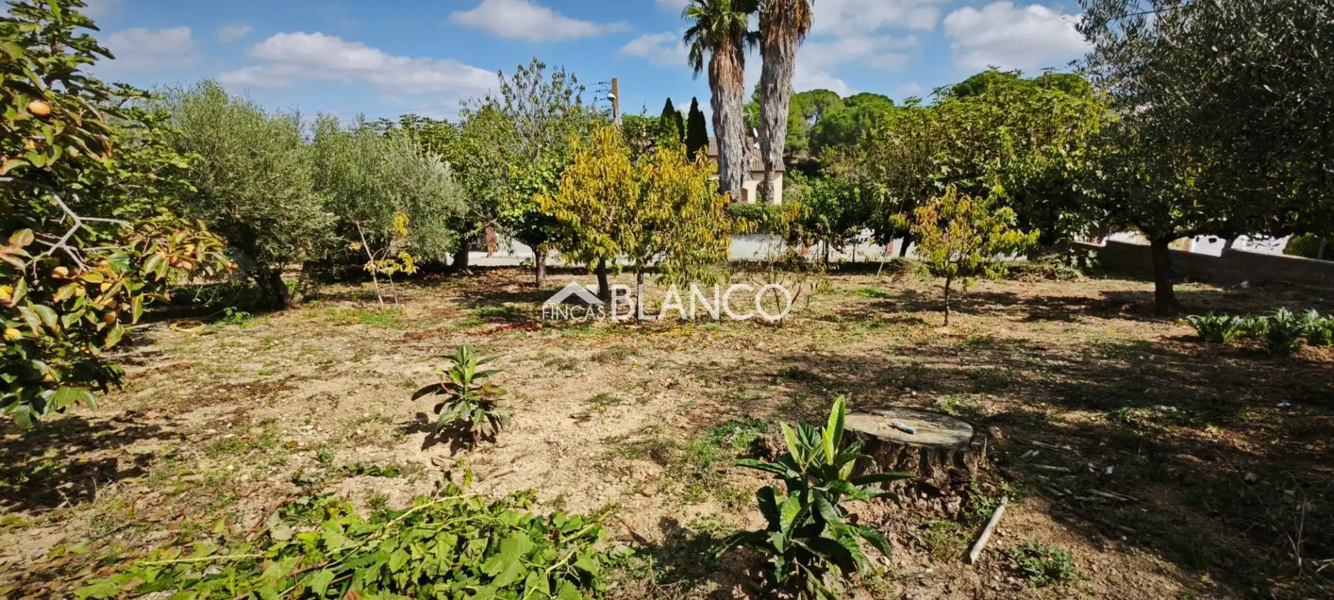 Terreno residencial en venta en Piera, imagen 3