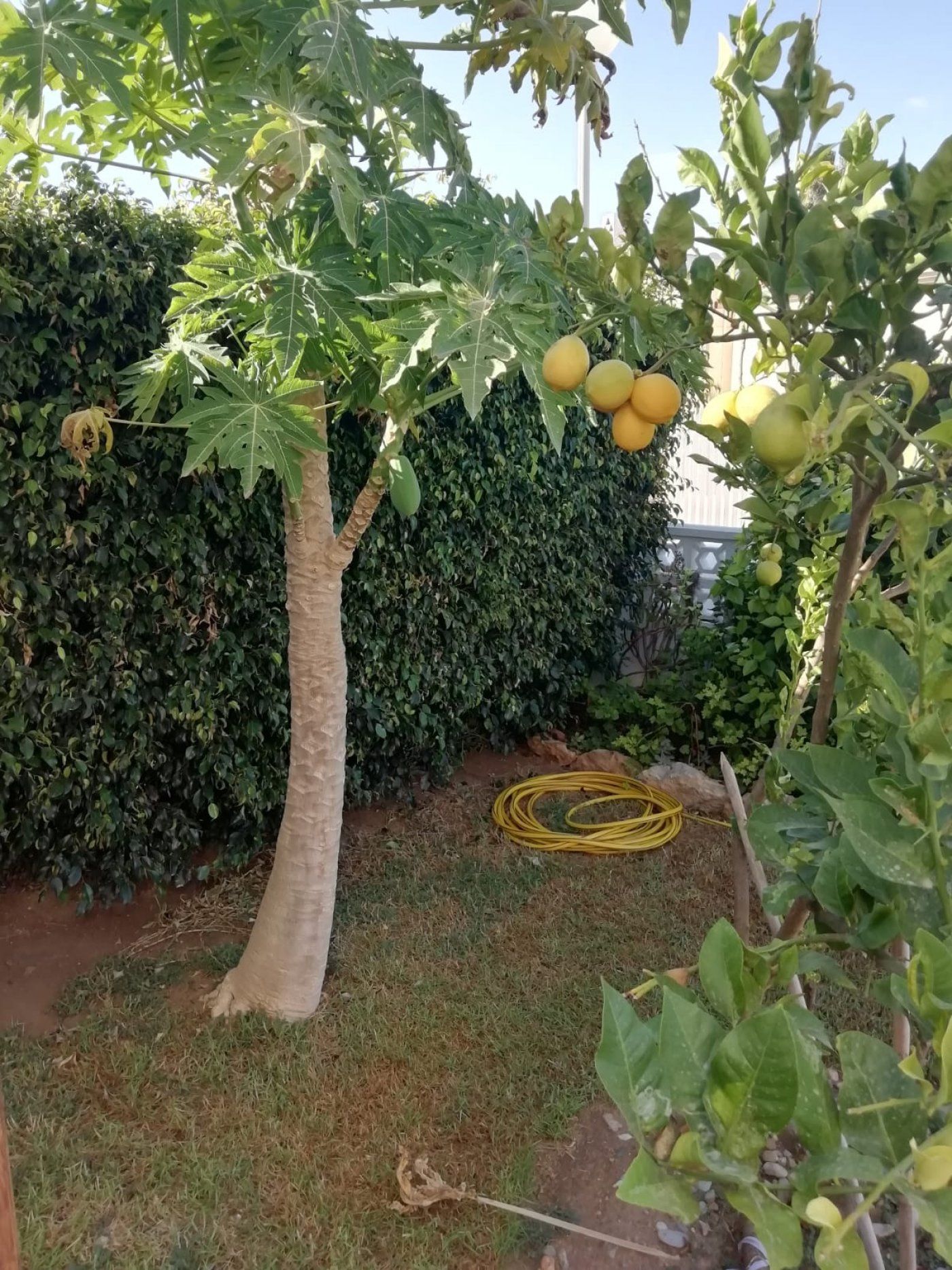 Garden of House or chalet for sale in El Ejido  with Air Conditioner, Heating and Storage room